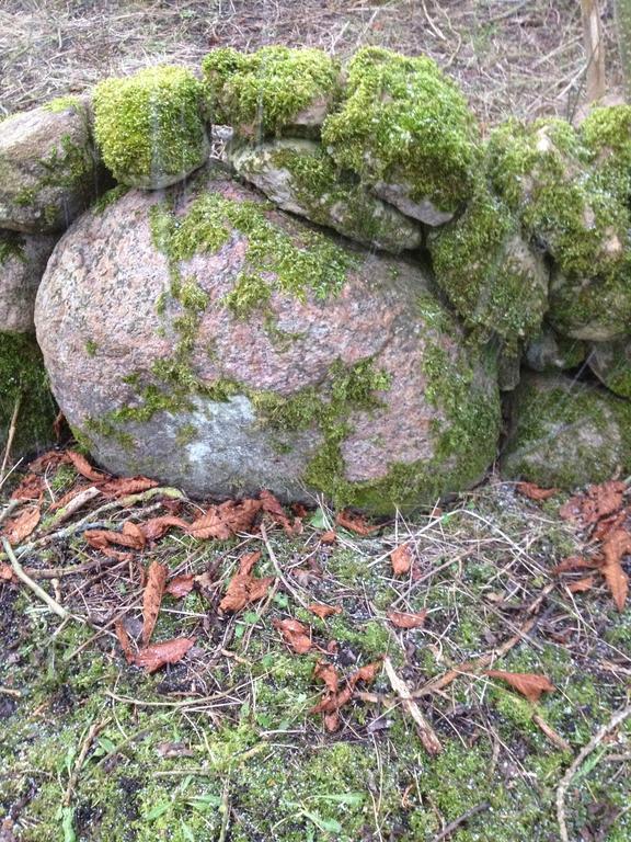 Paradiset Oestra Oeland Nedra Sandby Екстериор снимка